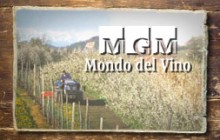 Intro video MGM Mondo del vino 20 anni
