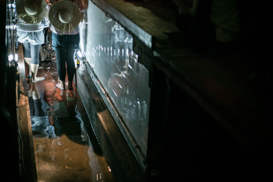 Ipercorpo 2012 - 22 Settembre